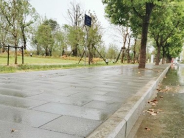 ʏ����ɽ���