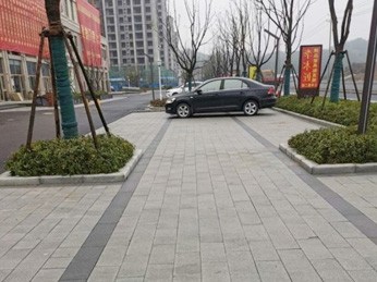 �Sɽ�t�����P���̘I(y��)�V��(ch��ng)